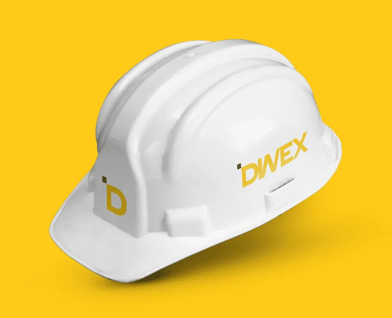Capa do projeto DWEX